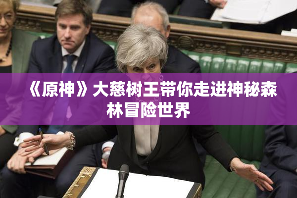 《原神》大慈树王带你走进神秘森林冒险世界