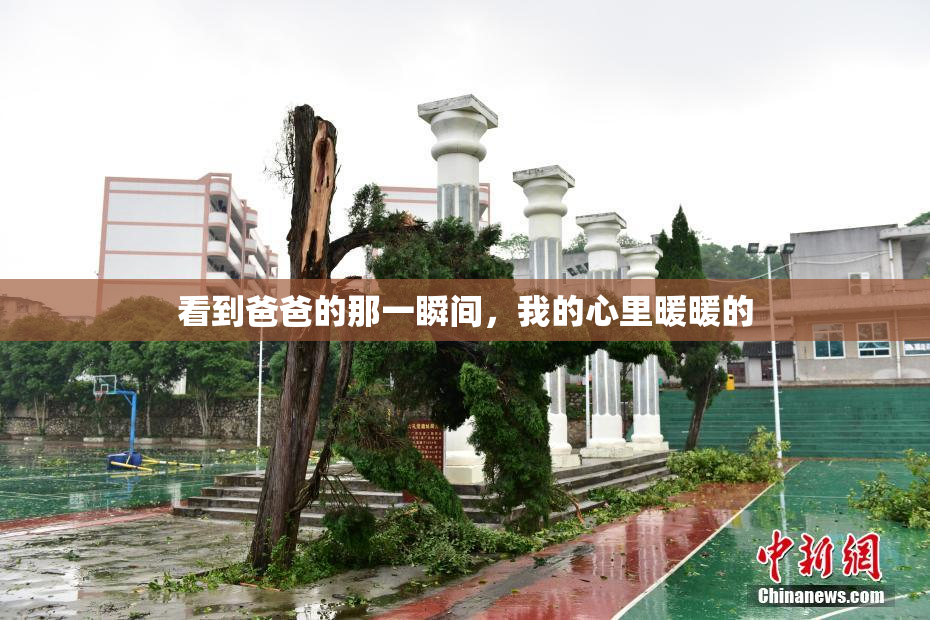 看到爸爸的那一瞬间，我的心里暖暖的