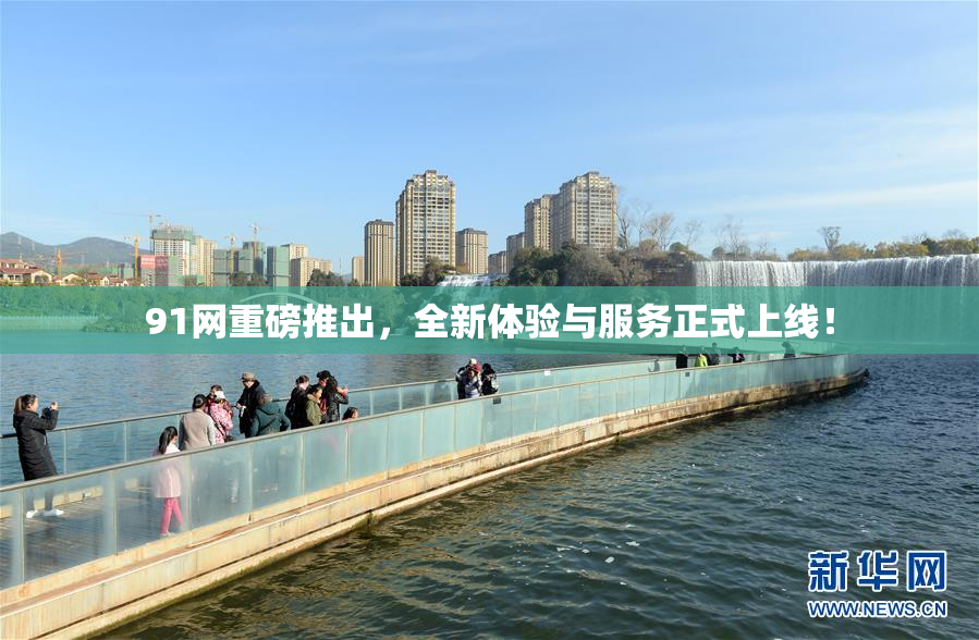 91网重磅推出，全新体验与服务正式上线！