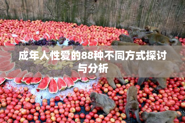 成年人性爱的88种不同方式探讨与分析
