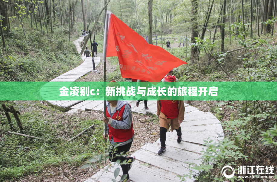 金凌别c：新挑战与成长的旅程开启