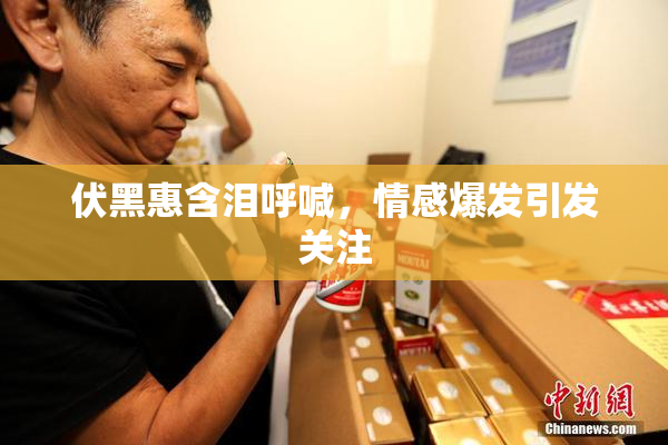 伏黑惠含泪呼喊，情感爆发引发关注