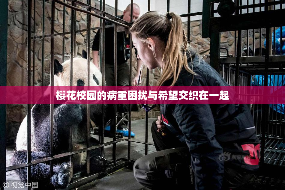 樱花校园的病重困扰与希望交织在一起