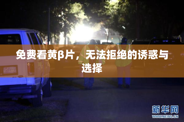 免费看黄β片，无法拒绝的诱惑与选择