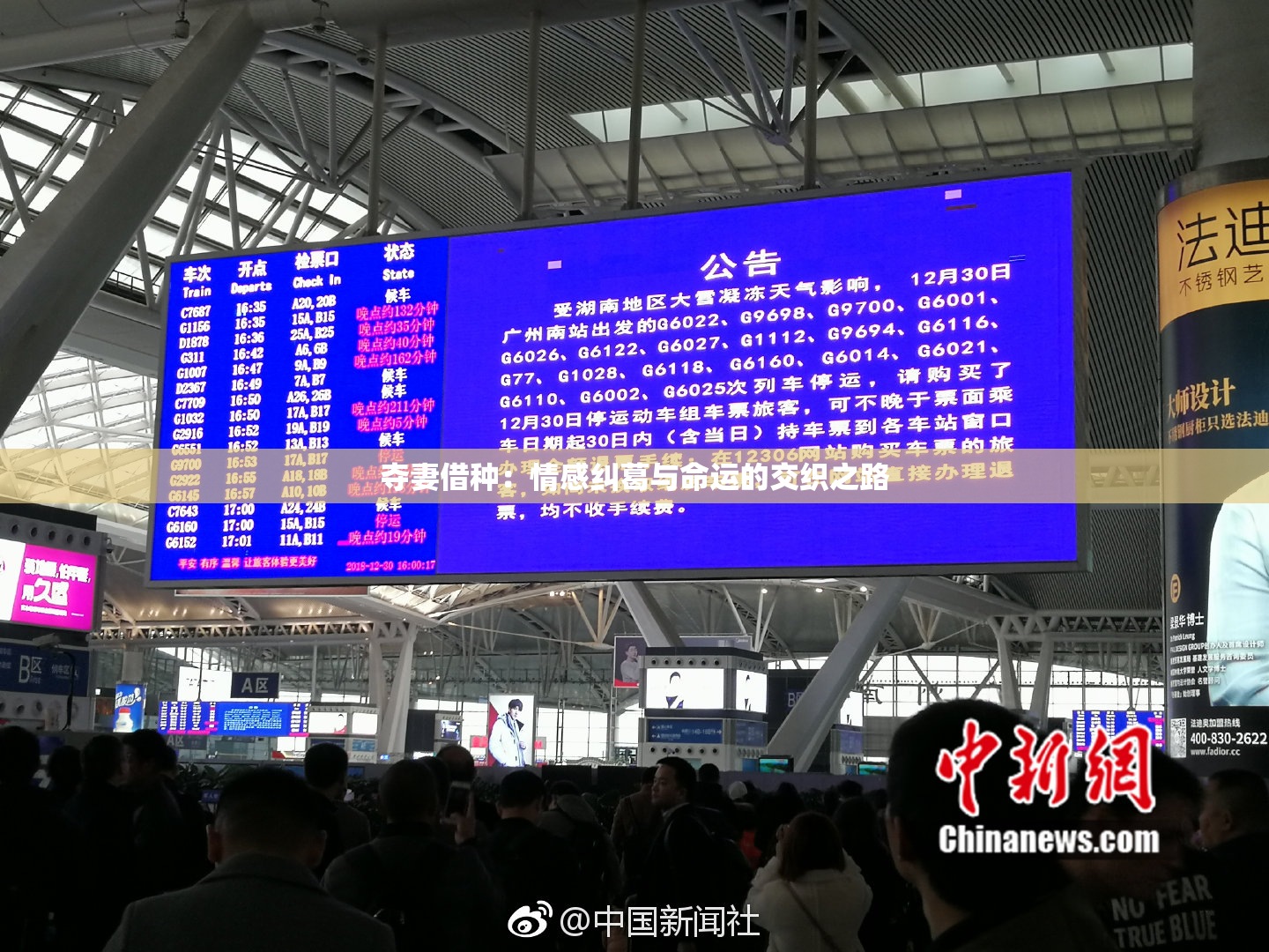 夺妻借种：情感纠葛与命运的交织之路