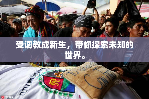受调教成新生，带你探索未知的世界。