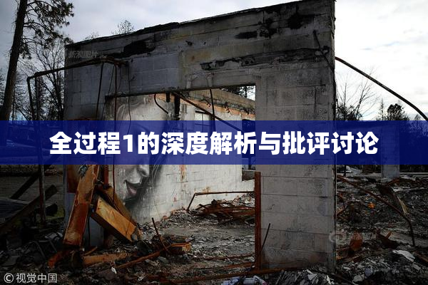 全过程1的深度解析与批评讨论
