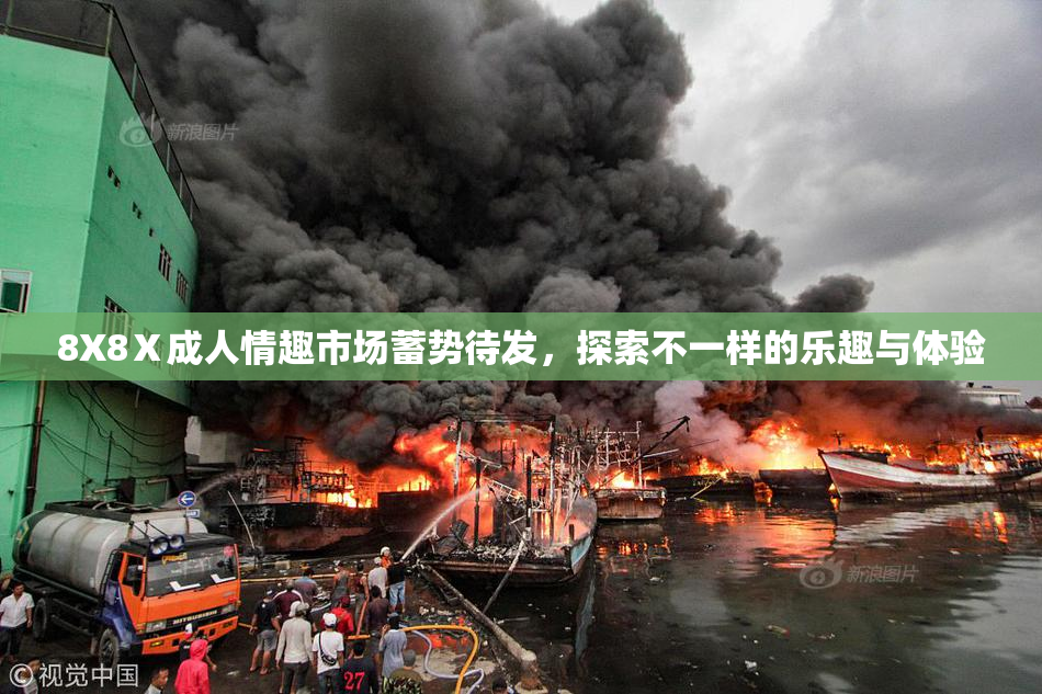 8X8Ⅹ成人情趣市场蓄势待发，探索不一样的乐趣与体验