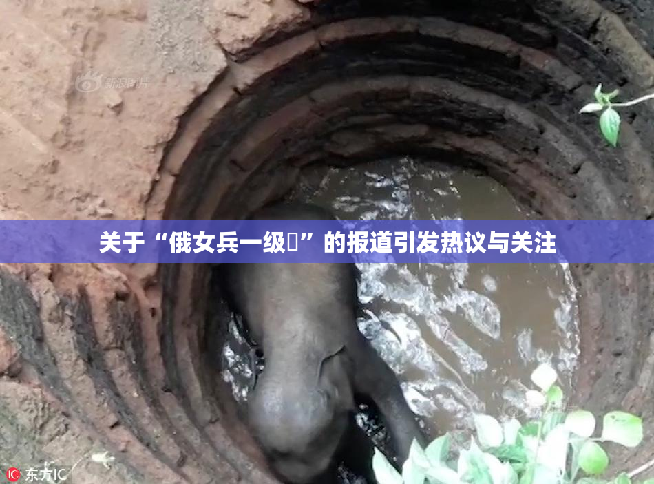 关于“俄女兵一级婬”的报道引发热议与关注