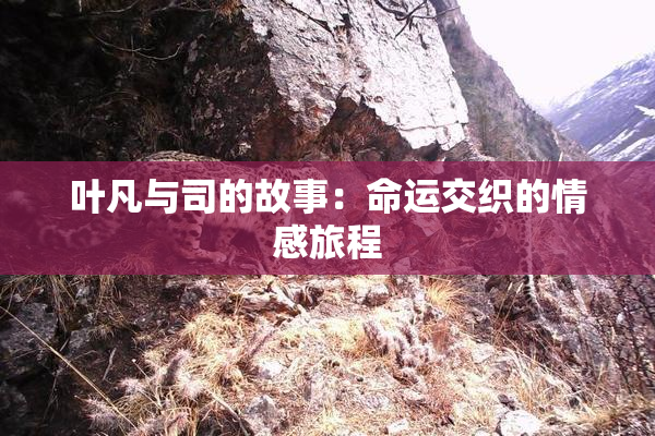 叶凡与司的故事：命运交织的情感旅程