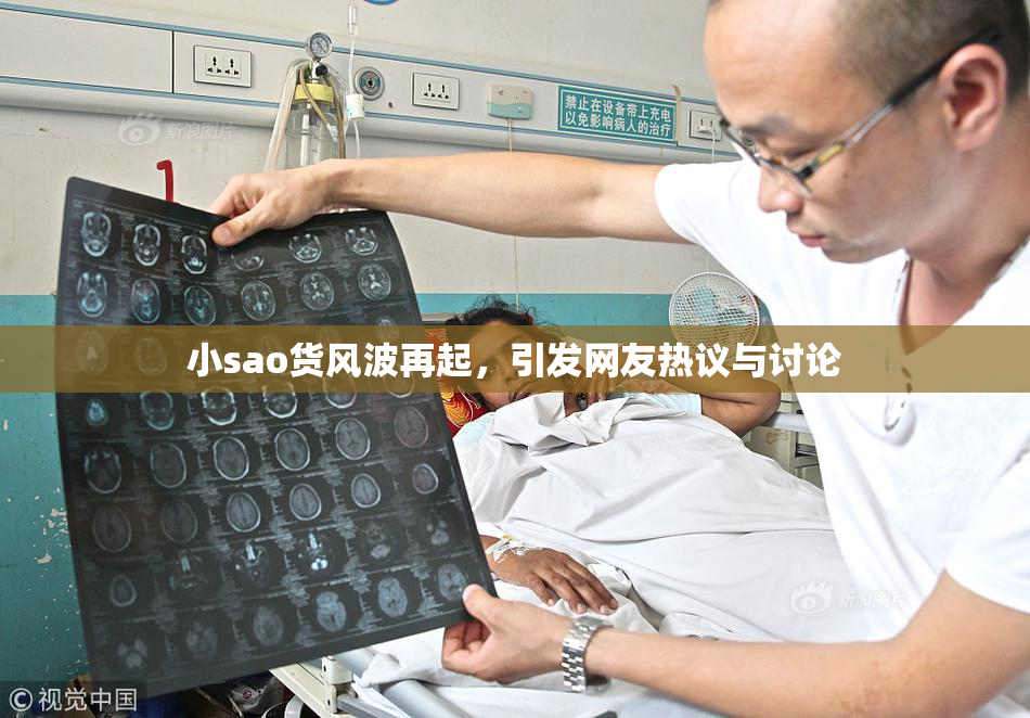 小sao货风波再起，引发网友热议与讨论