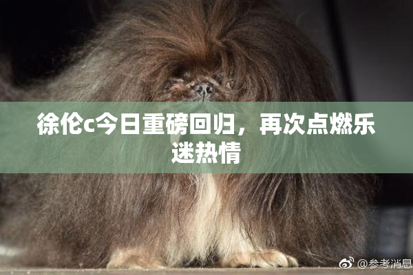 徐伦c今日重磅回归，再次点燃乐迷热情