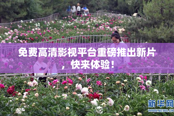 免费高清影视平台重磅推出新片，快来体验！
