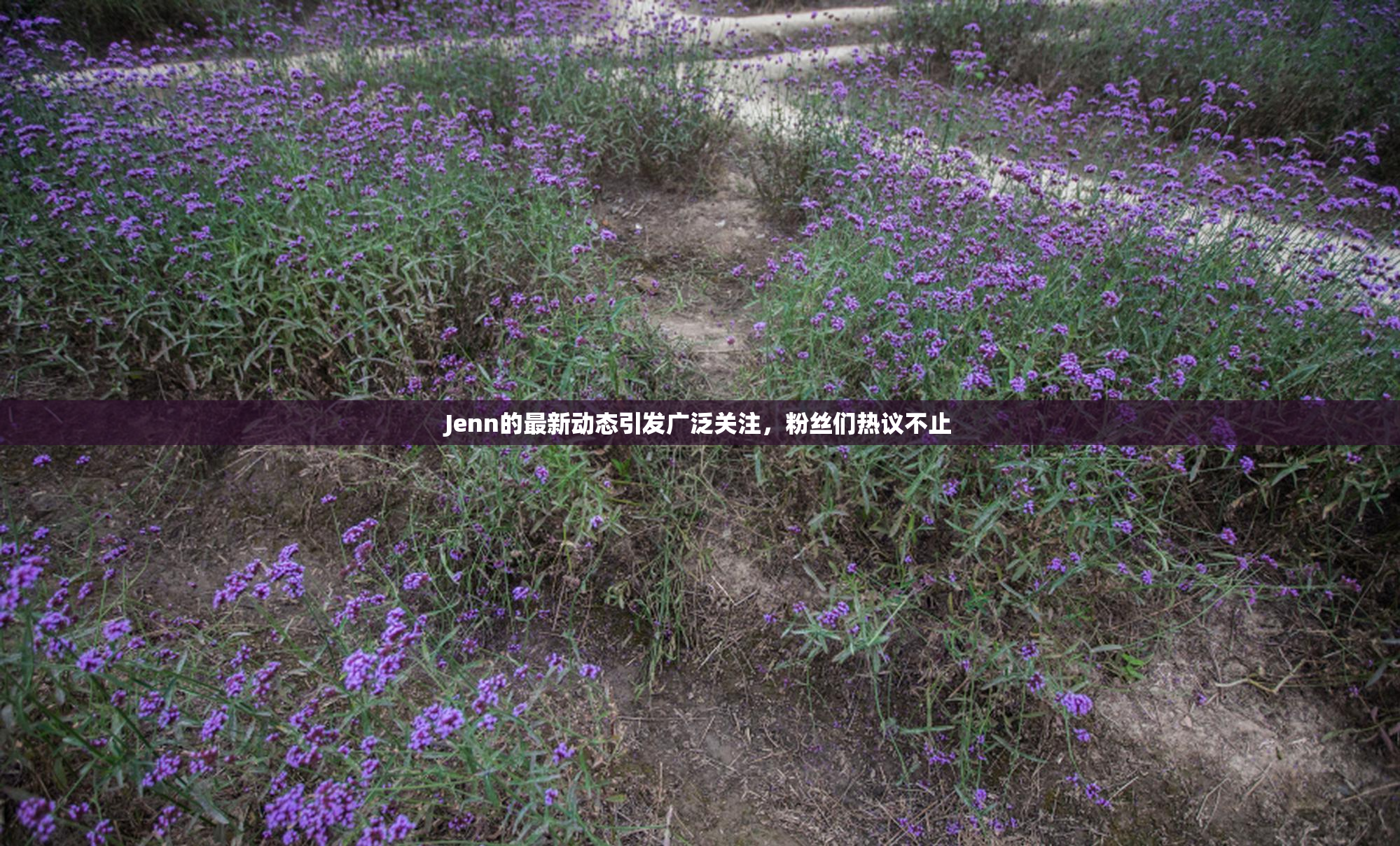 Jenn的最新动态引发广泛关注，粉丝们热议不止