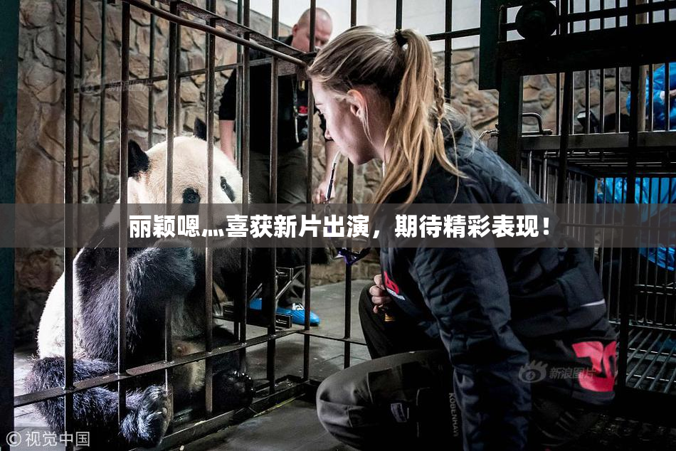 丽颖嗯灬喜获新片出演，期待精彩表现！