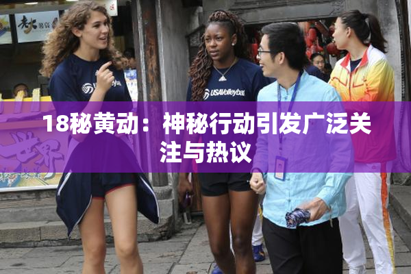 18秘黄动：神秘行动引发广泛关注与热议