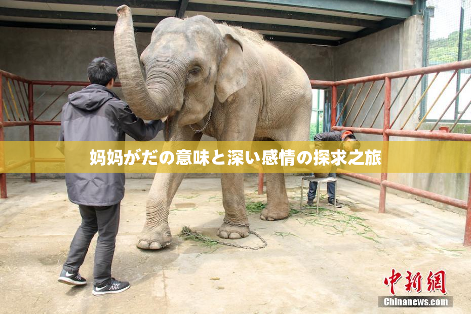 妈妈がだの意味と深い感情の探求之旅