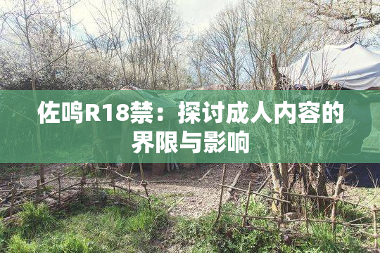 佐鸣R18禁：探讨成人内容的界限与影响