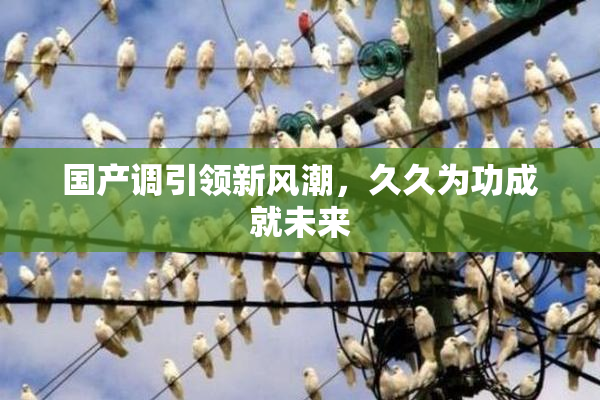 国产调引领新风潮，久久为功成就未来