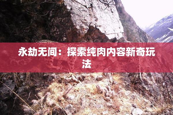 永劫无间：探索纯肉内容新奇玩法