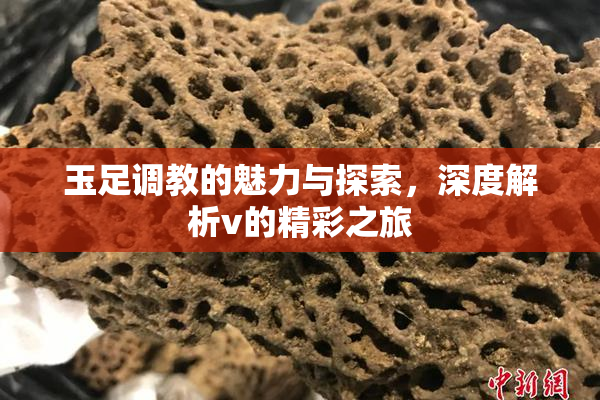 玉足调教的魅力与探索，深度解析v的精彩之旅