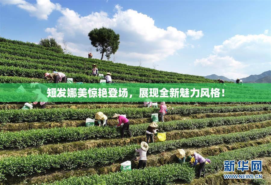 短发娜美惊艳登场，展现全新魅力风格！