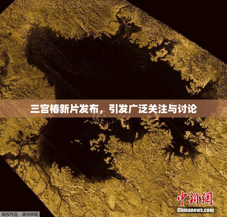 三宫椿新片发布，引发广泛关注与讨论