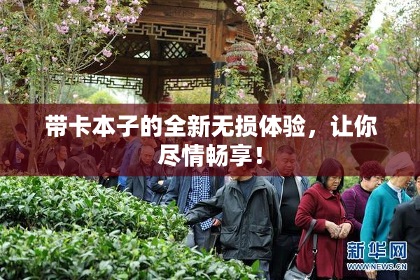 带卡本子的全新无损体验，让你尽情畅享！