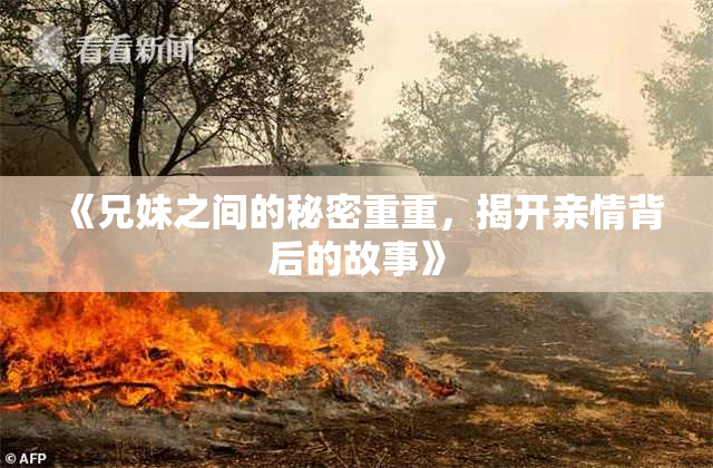 《兄妹之间的秘密重重，揭开亲情背后的故事》