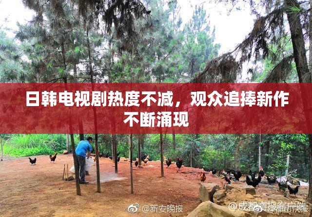 日韩电视剧热度不减，观众追捧新作不断涌现