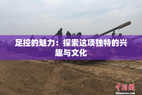 足控的魅力：探索这项独特的兴趣与文化