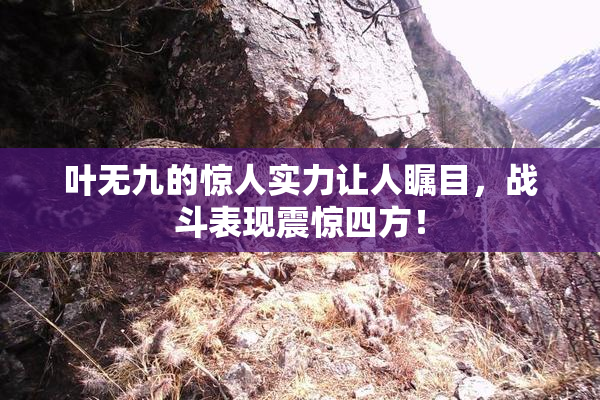 叶无九的惊人实力让人瞩目，战斗表现震惊四方！
