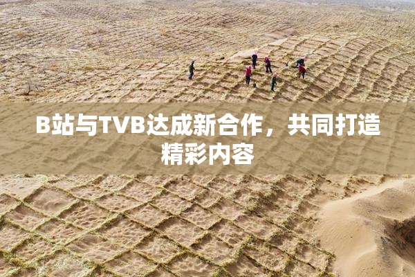 B站与TVB达成新合作，共同打造精彩内容