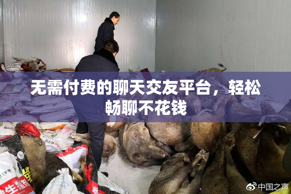 无需付费的聊天交友平台，轻松畅聊不花钱