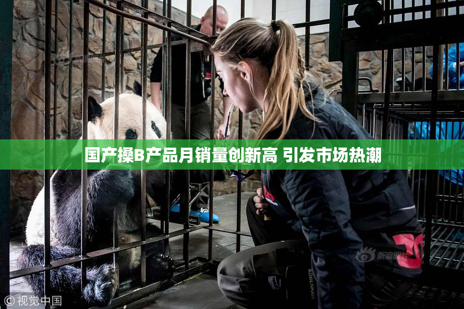 国产搡B产品月销量创新高 引发市场热潮