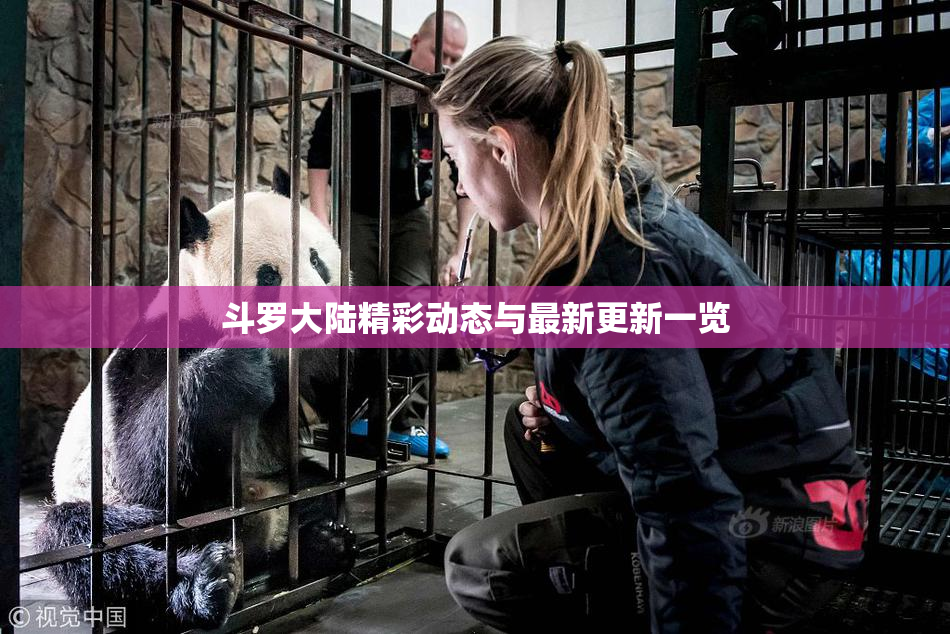 斗罗大陆精彩动态与最新更新一览