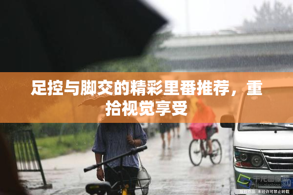 足控与脚交的精彩里番推荐，重拾视觉享受