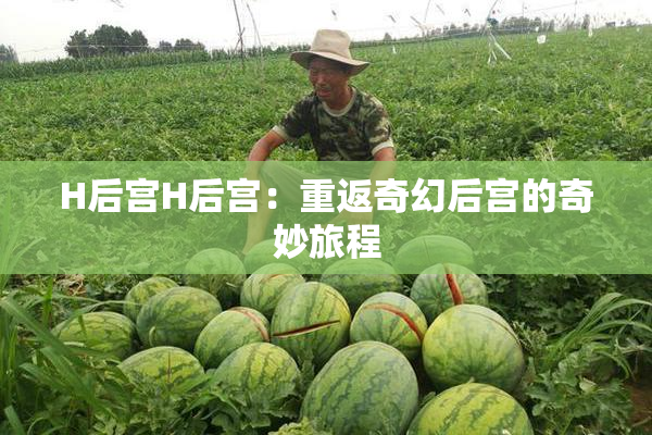 H后宫H后宫：重返奇幻后宫的奇妙旅程