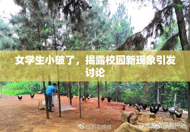 女学生小破了，揭露校园新现象引发讨论