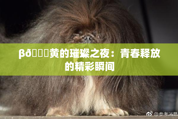 β🔞黄的璀璨之夜：青春释放的精彩瞬间