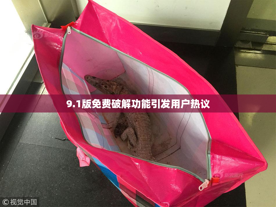 9.1版免费破解功能引发用户热议