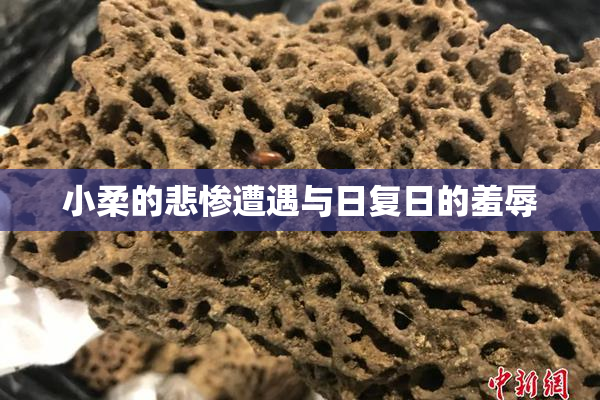 小柔的悲惨遭遇与日复日的羞辱