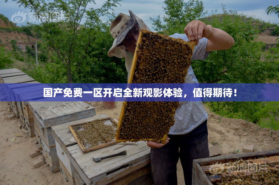 国产免费一区开启全新观影体验，值得期待！