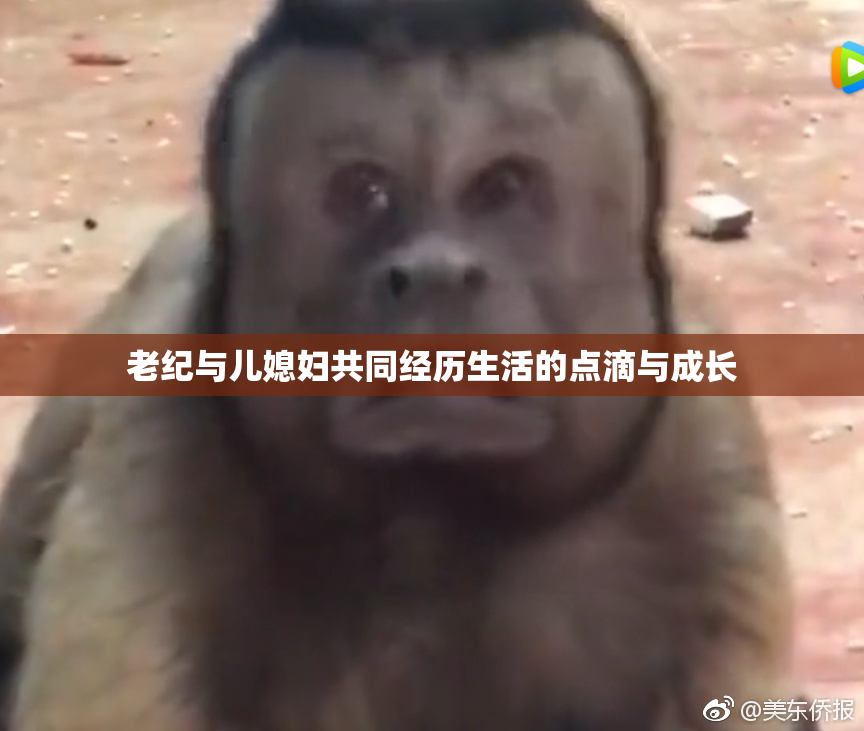 老纪与儿媳妇共同经历生活的点滴与成长