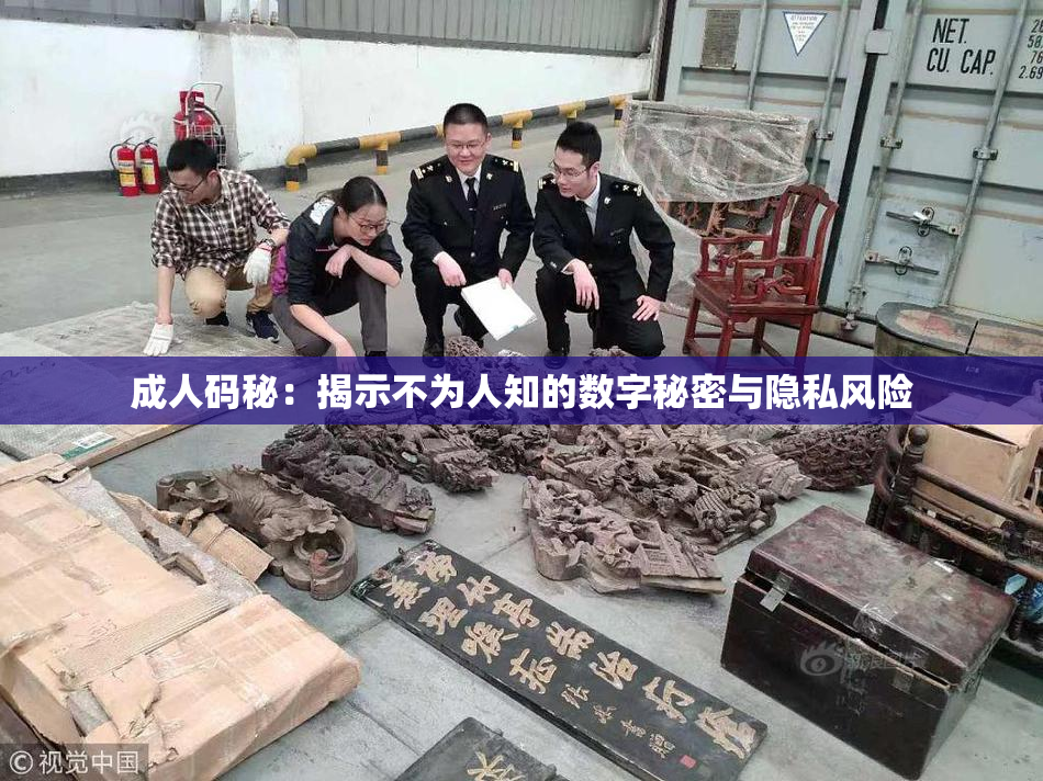成人码秘：揭示不为人知的数字秘密与隐私风险