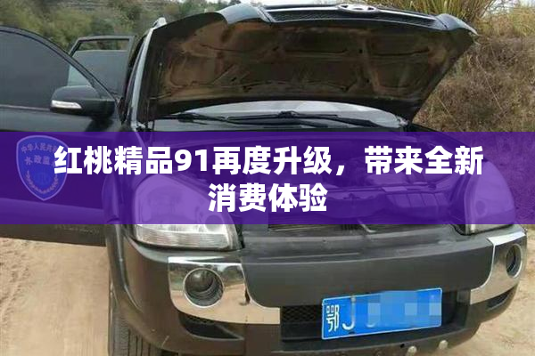 红桃精品91再度升级，带来全新消费体验
