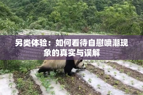另类体验：如何看待自慰喷潮现象的真实与误解