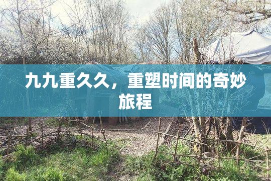 九九重久久，重塑时间的奇妙旅程