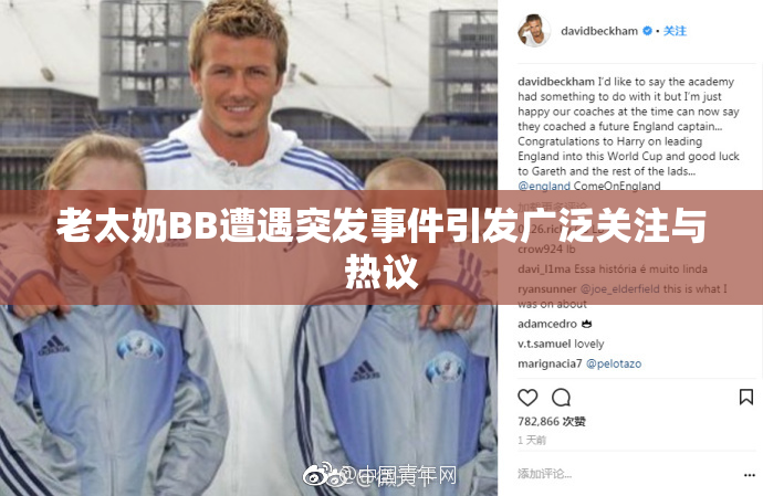 老太奶BB遭遇突发事件引发广泛关注与热议