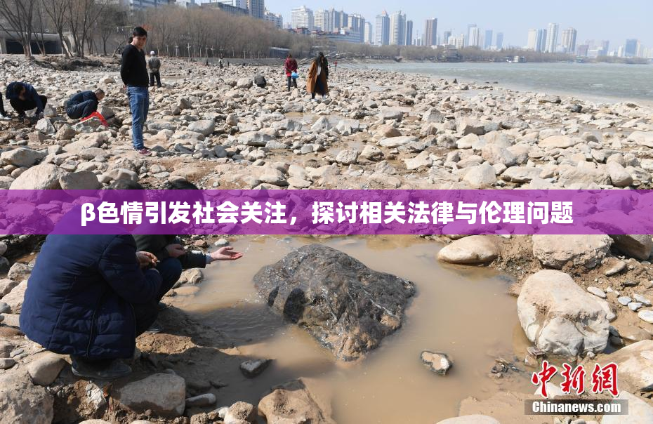 β色情引发社会关注，探讨相关法律与伦理问题